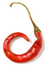chile de arbol. chile peppers photo copyright AZP Worldwide / All Rights Reserved